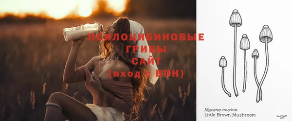 не бодяженный Алзамай