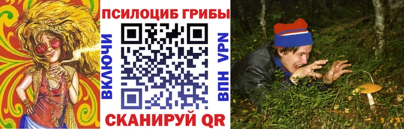 Псилоцибиновые грибы мицелий  Луга 