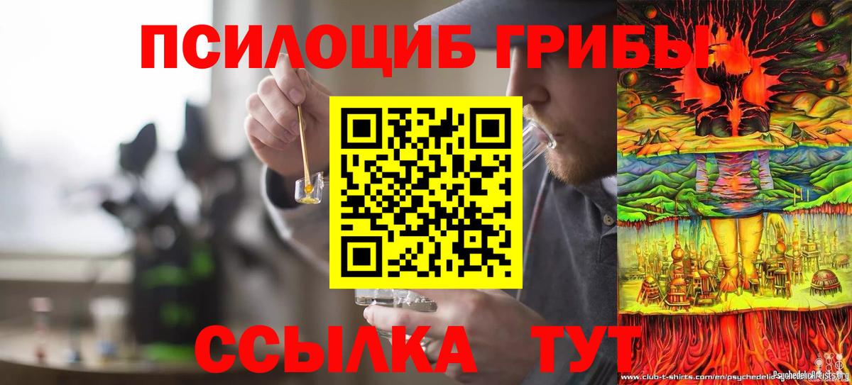 Псилоцибиновые грибы мухоморы Луга