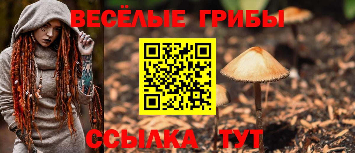 Луга  Псилоцибиновые грибы Psilocybe  купить наркотик  Вход с VPN  Галлюциногенные грибы GOLDEN TEACHER 