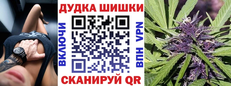 МАРИХУАНА планчик  Луга 